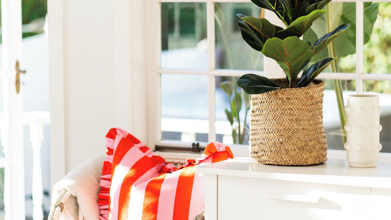 Photo of Others in St. Heliers