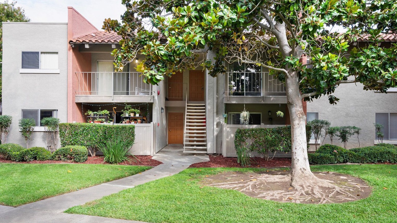 Photo of Outdoor in Campbell