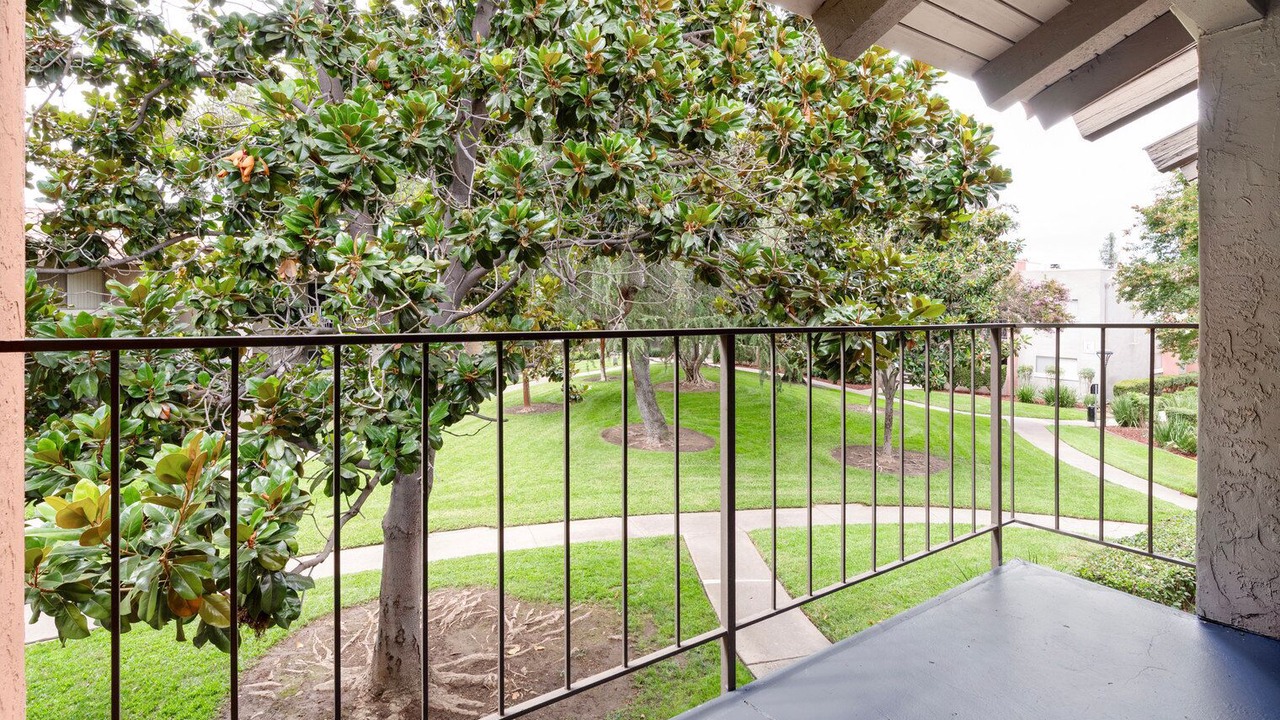 Photo of Outdoor in Campbell