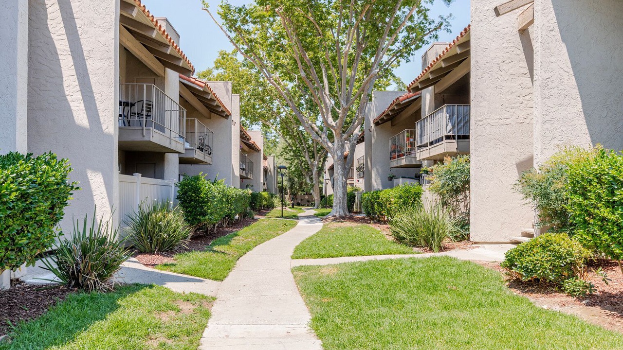 Photo of Outdoor in Campbell