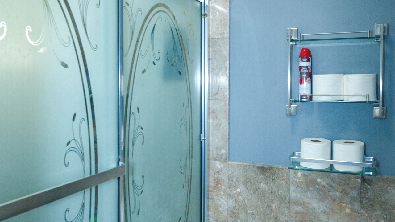 Photo of Bathroom in Meadows Place
