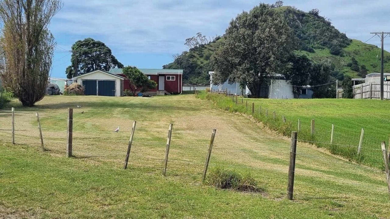 Photo of Outdoor in Pataua