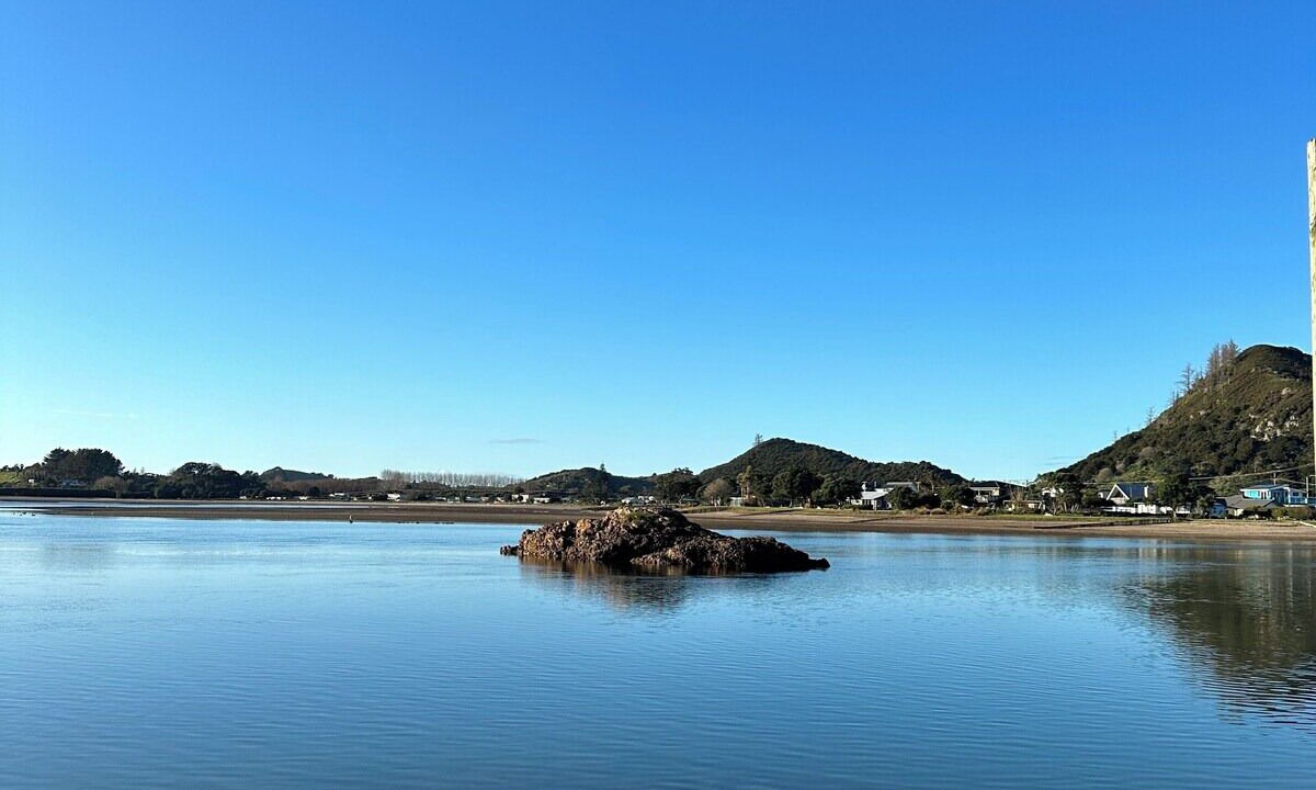 Photo of Others in Pataua