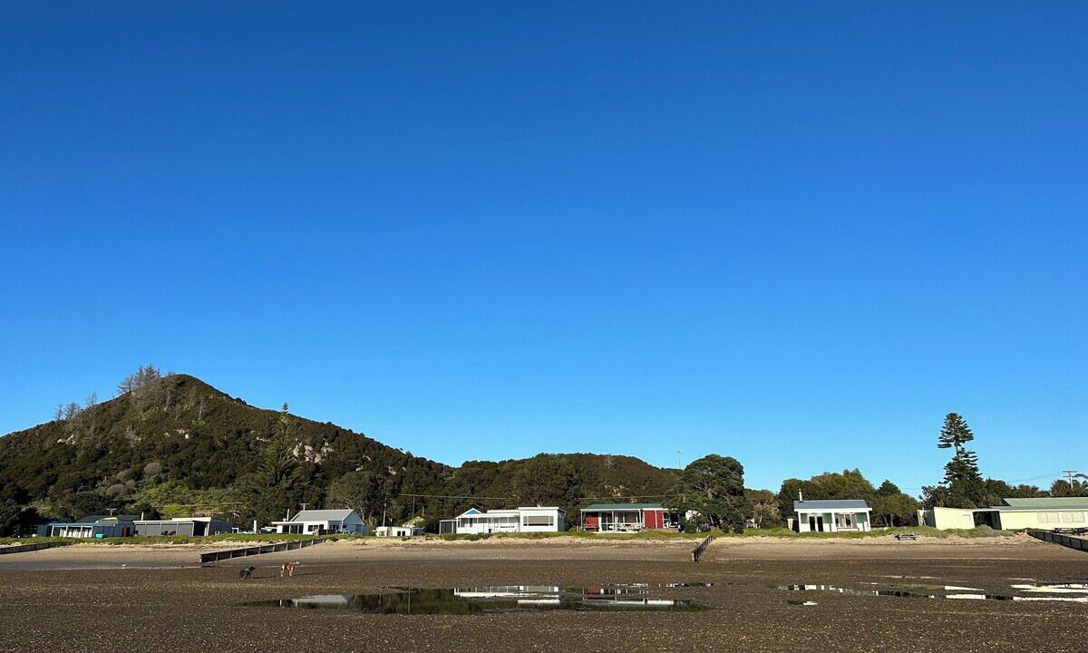 Photo of Others in Pataua