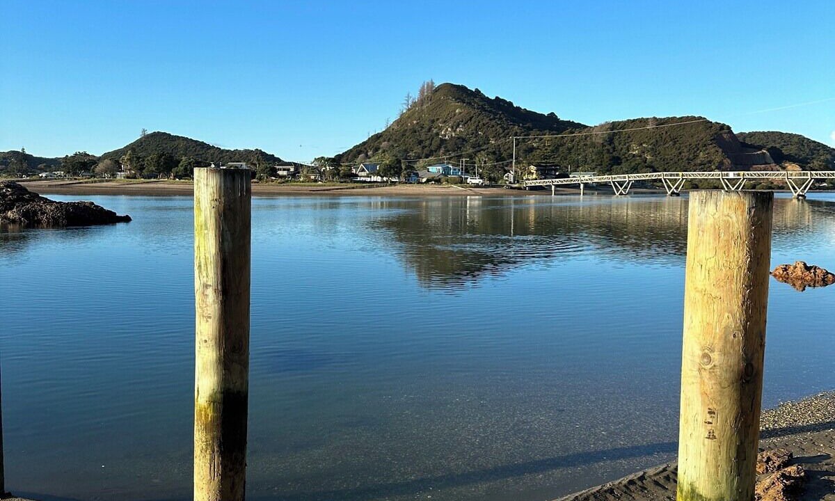 Photo of Others in Pataua