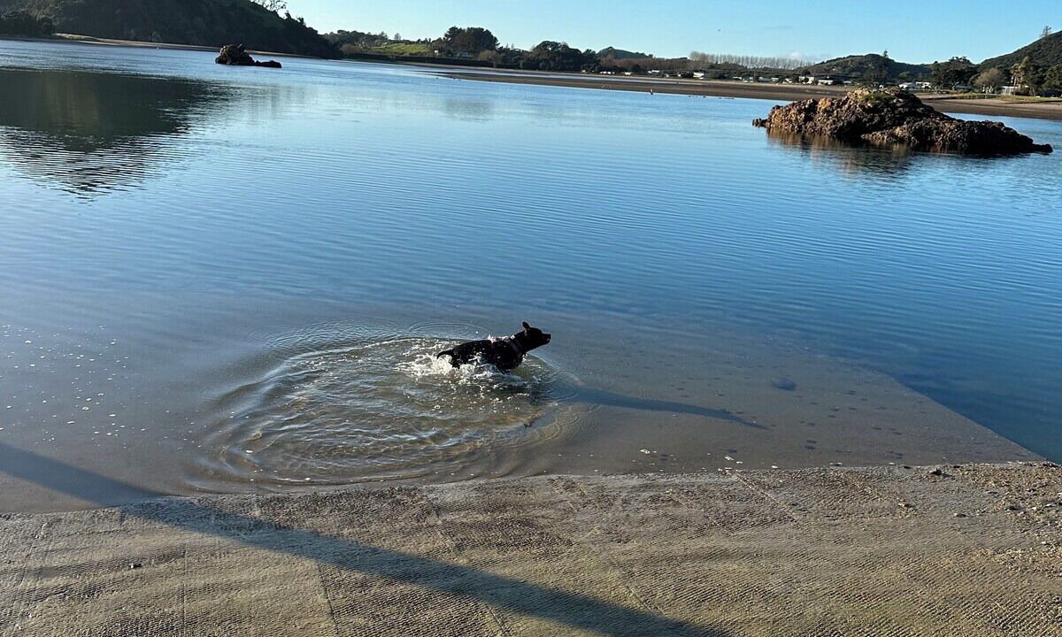 Photo of Others in Pataua