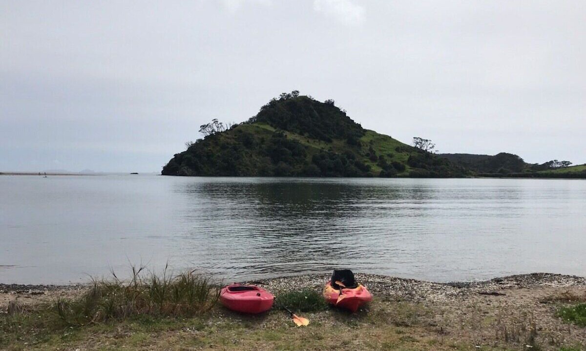 Photo of Others in Pataua