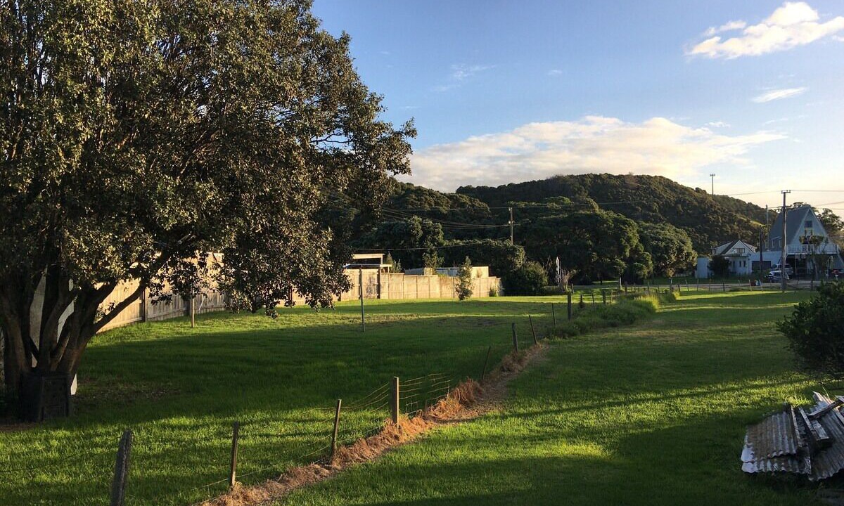 Photo of Others in Pataua