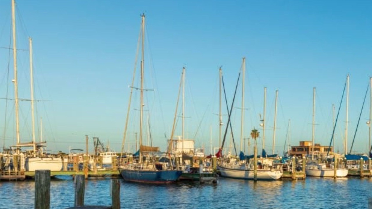 Photo of Others in Rockport