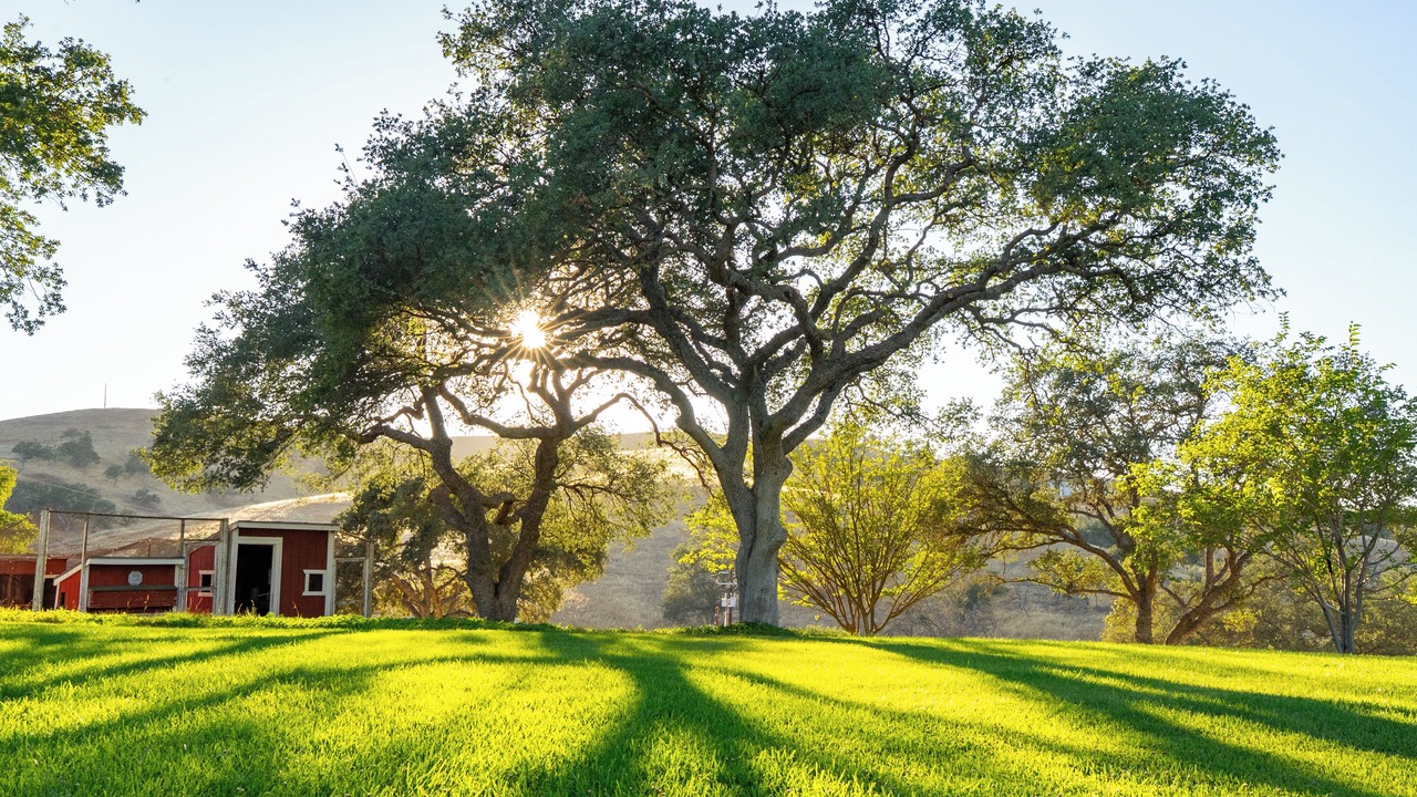 Photo of Others in Paso Robles