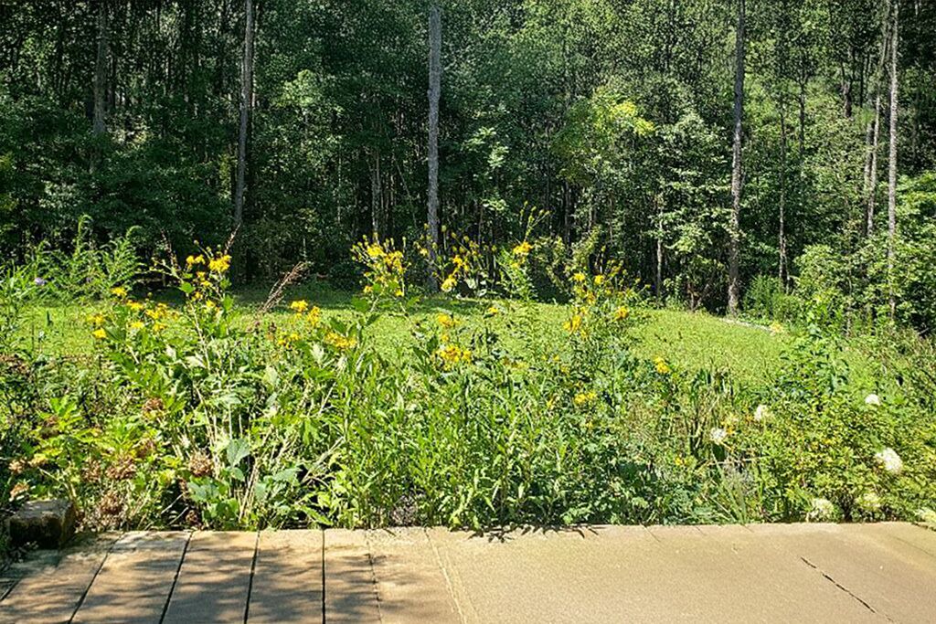 Photo of Outdoor in Sharpsburg