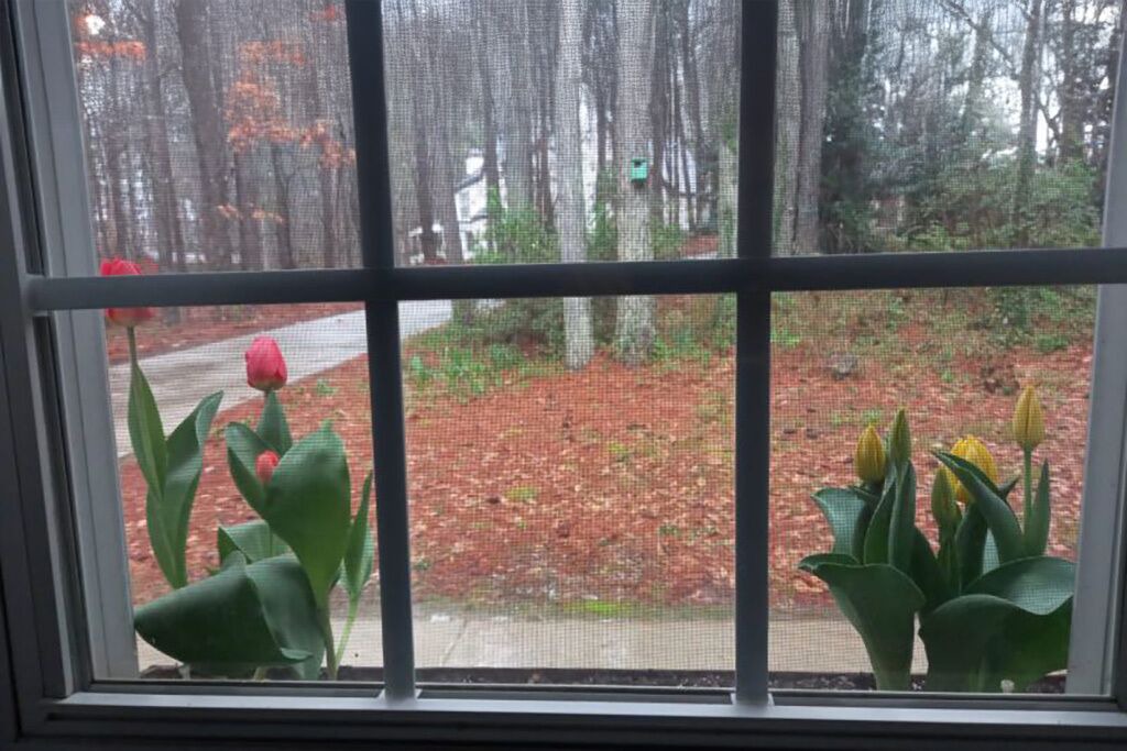 Photo of Others in Sharpsburg