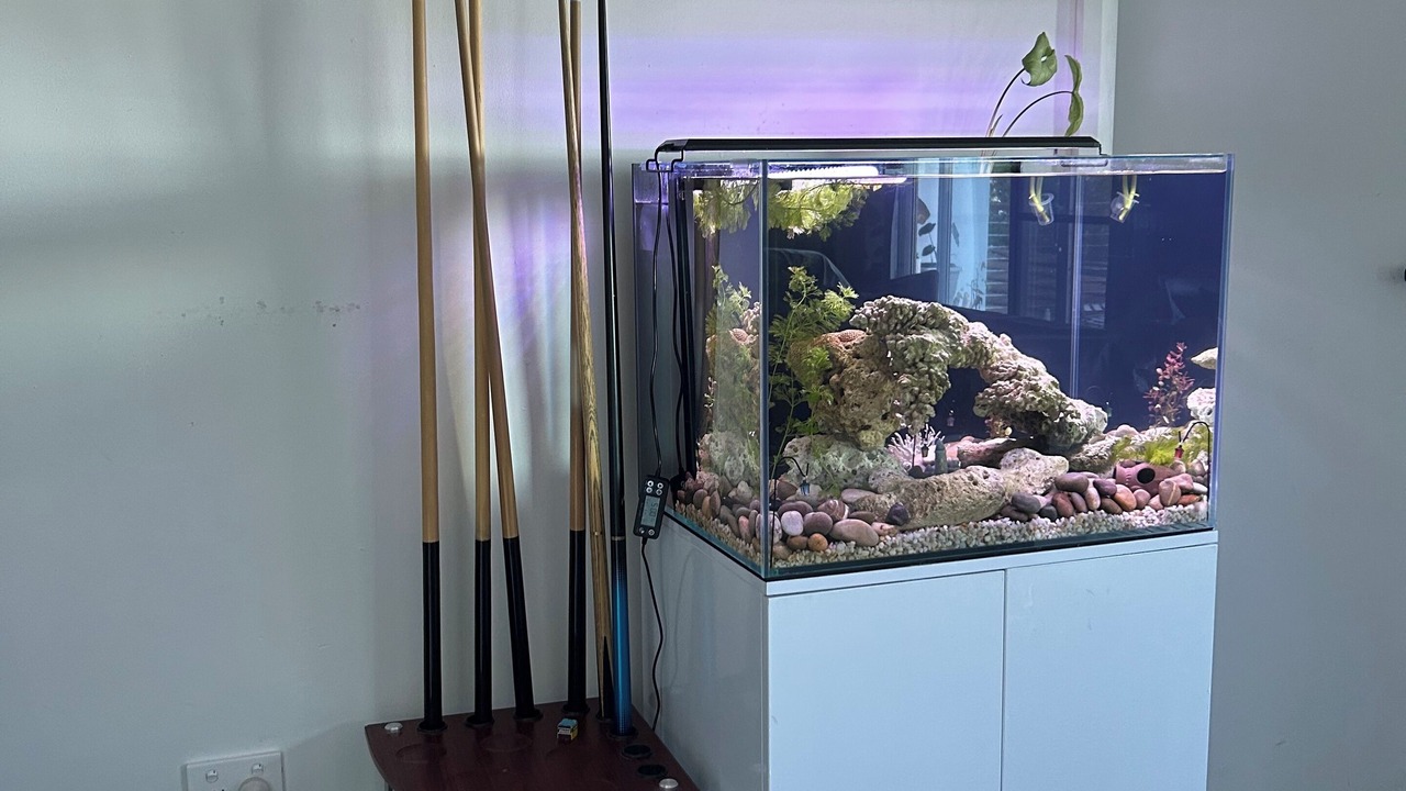 Photo of Others in Tascott