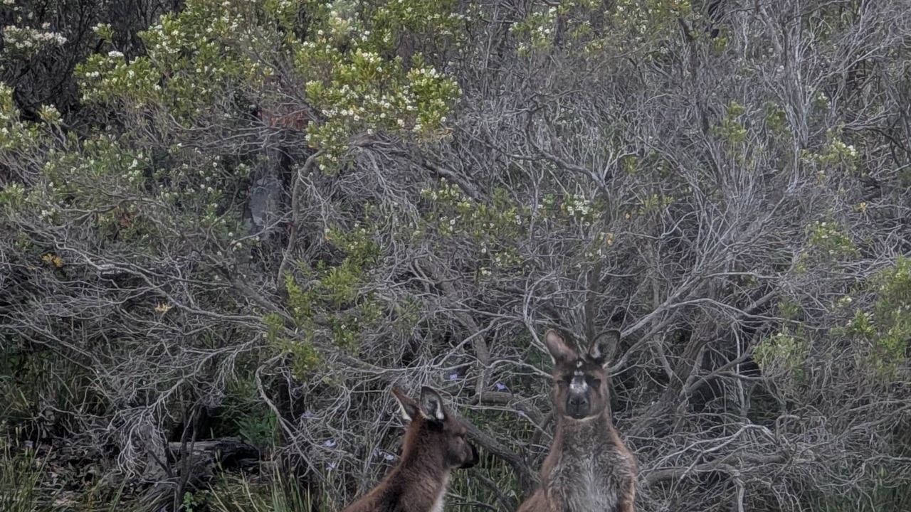 Photo of Others in Island Beach
