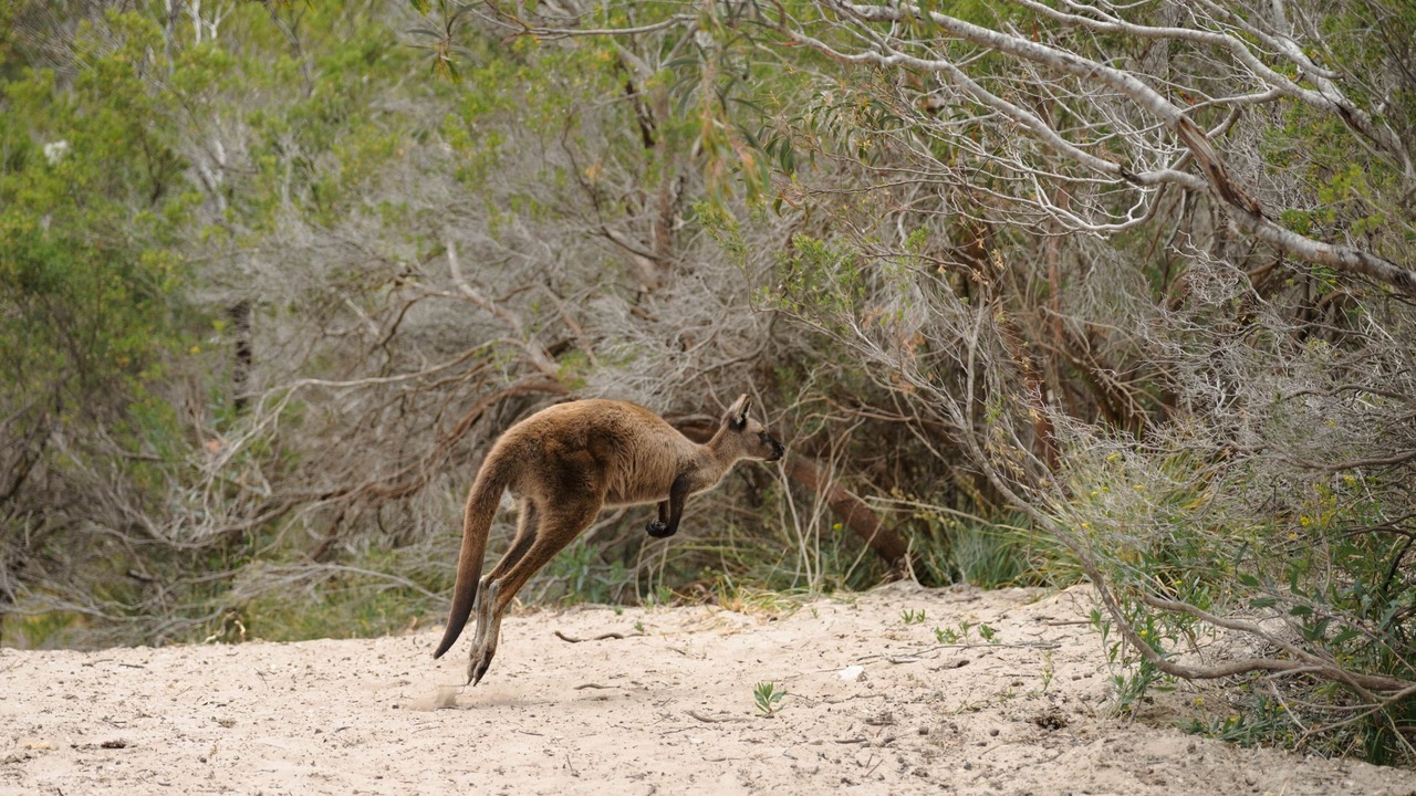 Photo of Others in Island Beach