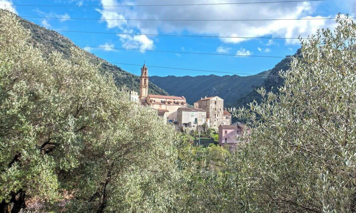 Photo of Others in Omessa