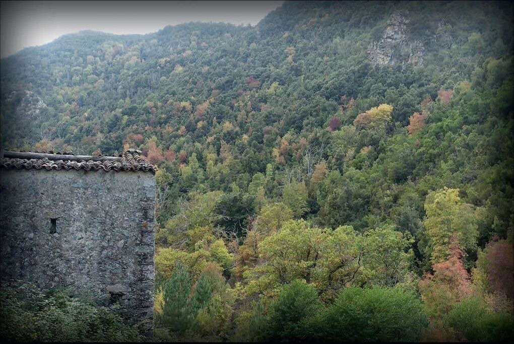 Photo of Others in Omessa