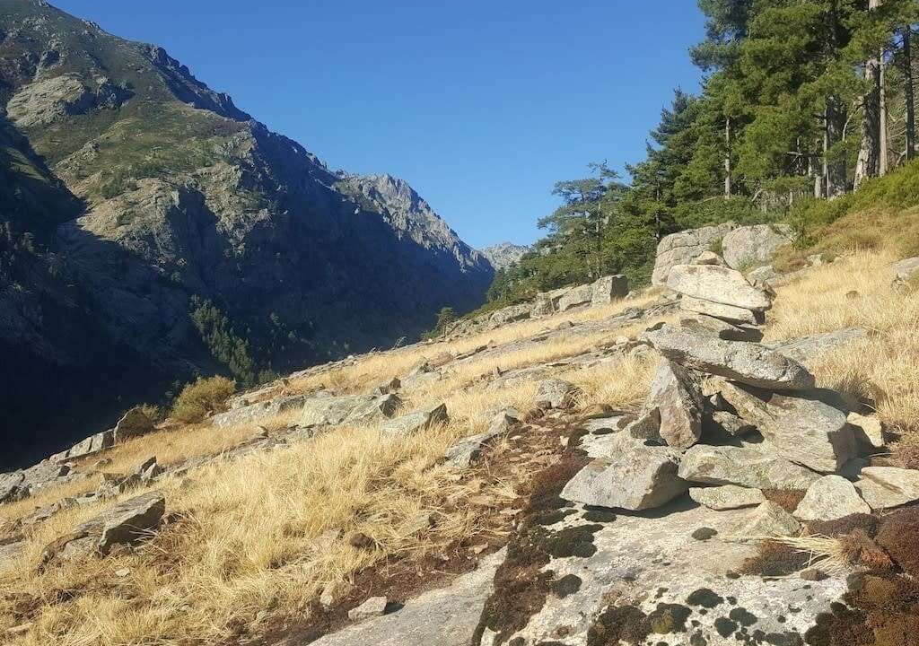 Photo of Others in Omessa