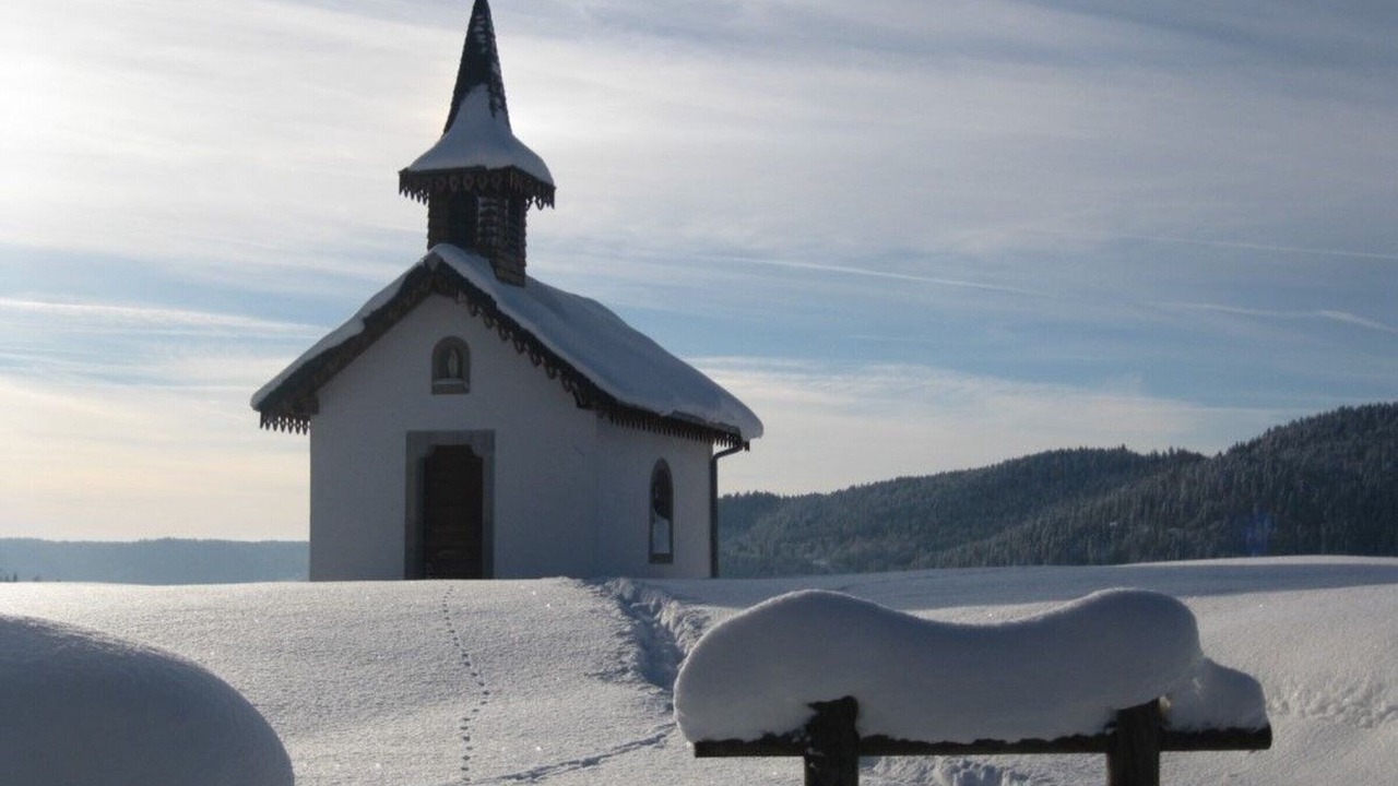 Photo of Others in Le Menil