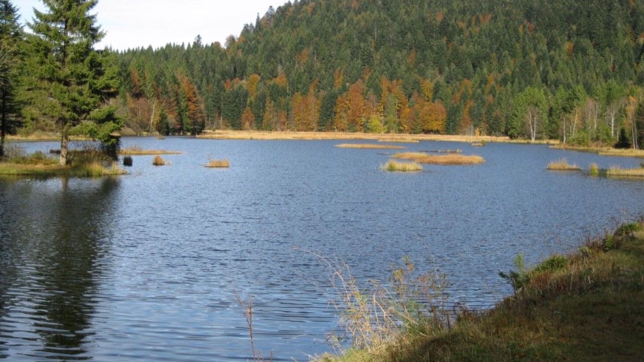 Photo of Others in Le Menil