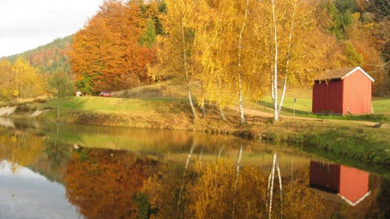 Photo of Others in Le Menil