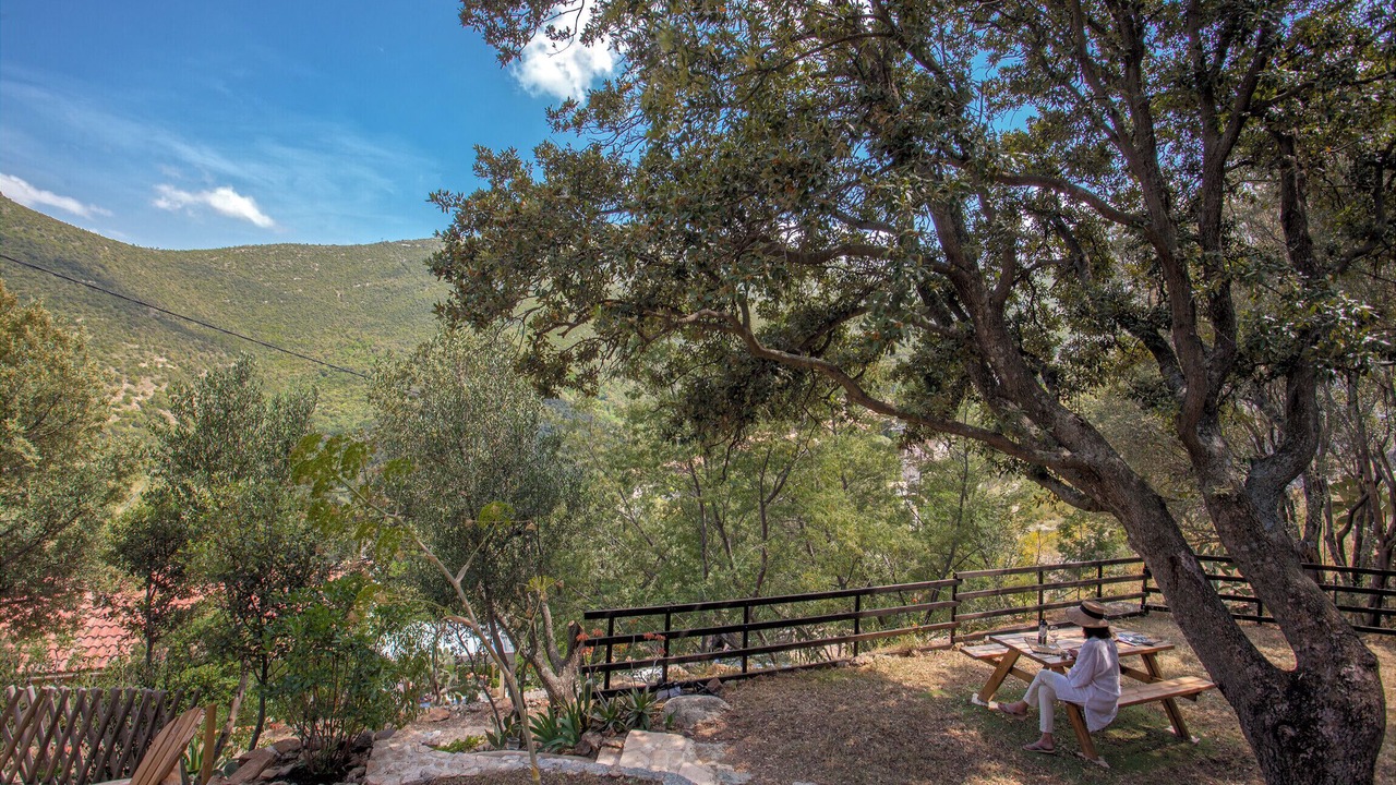 Photo of Outdoor in Palasca