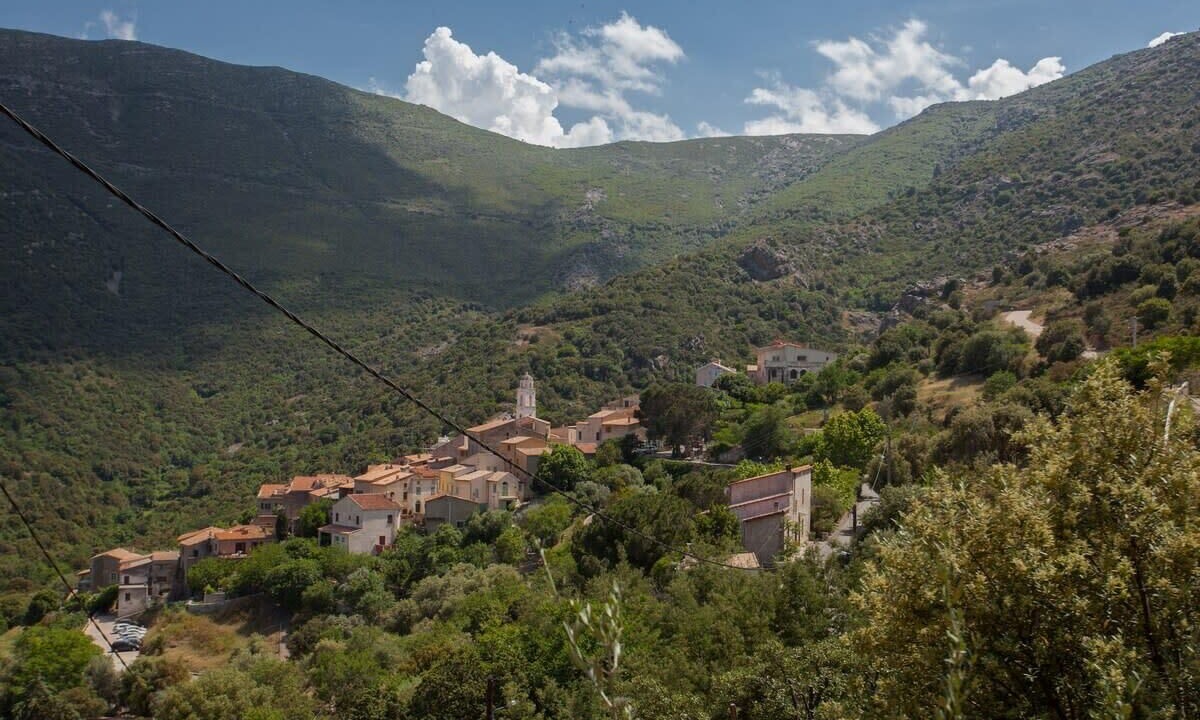 Photo of Others in Palasca