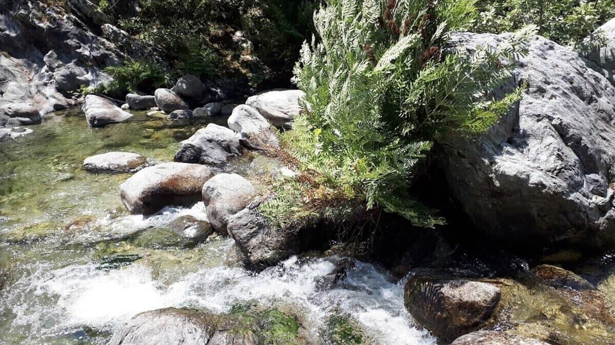 Photo of Others in Poggio-di-Nazza