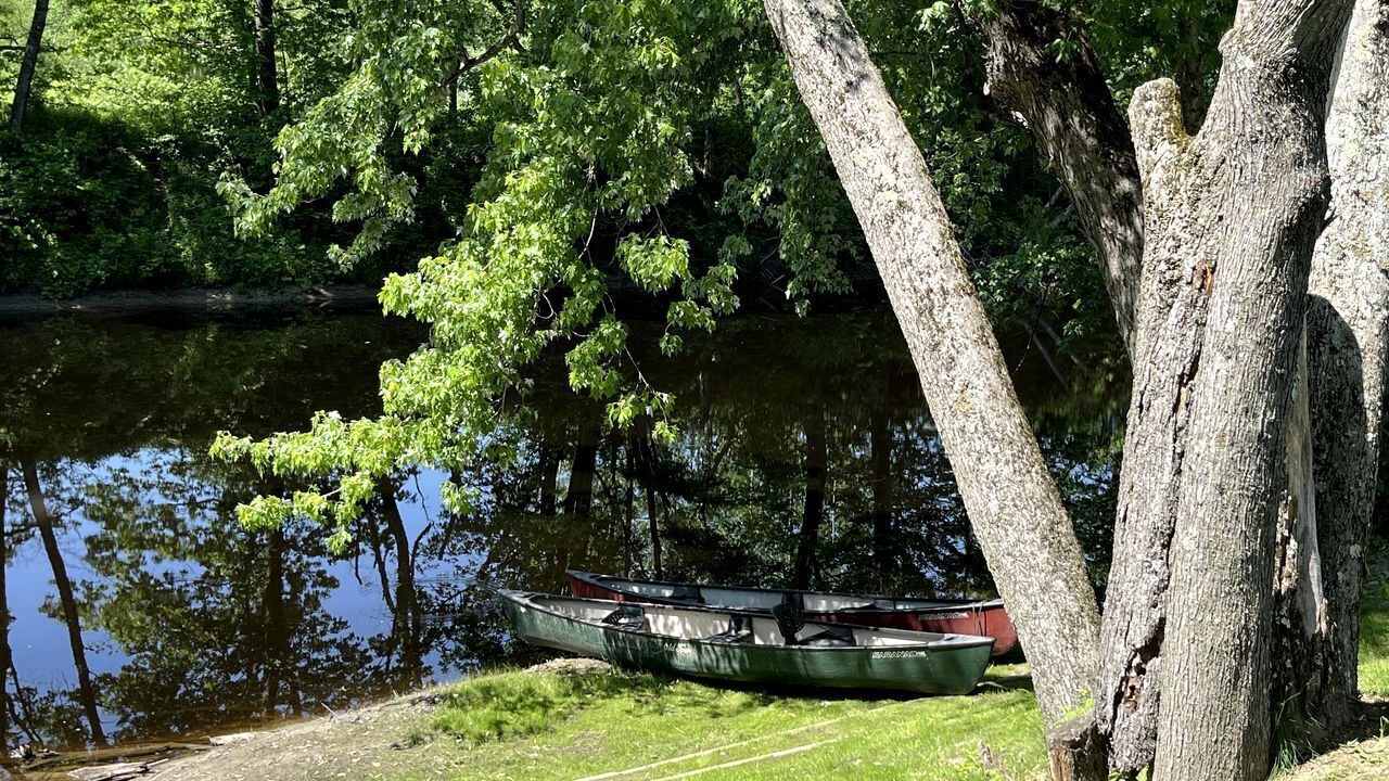 Photo of Others in Turner