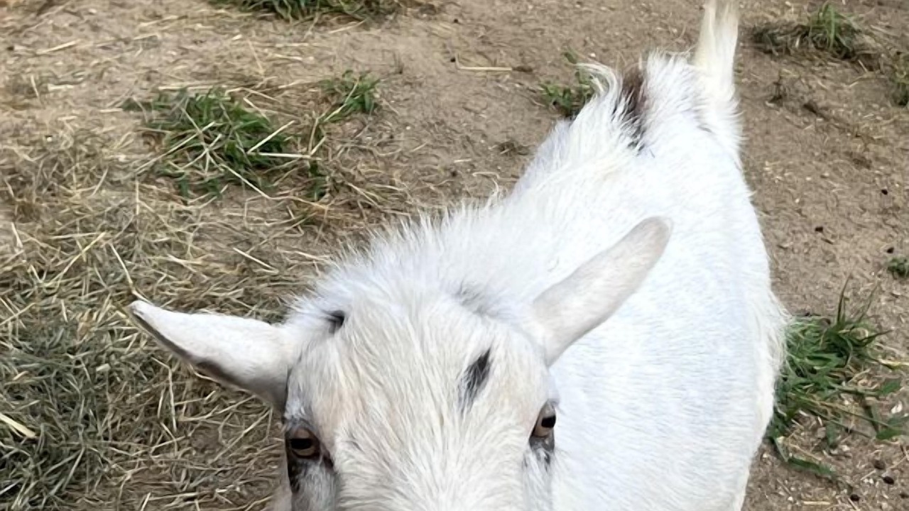 Photo of Others in Turner