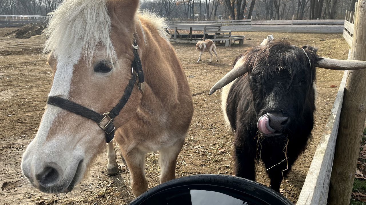 Photo of Others in Turner