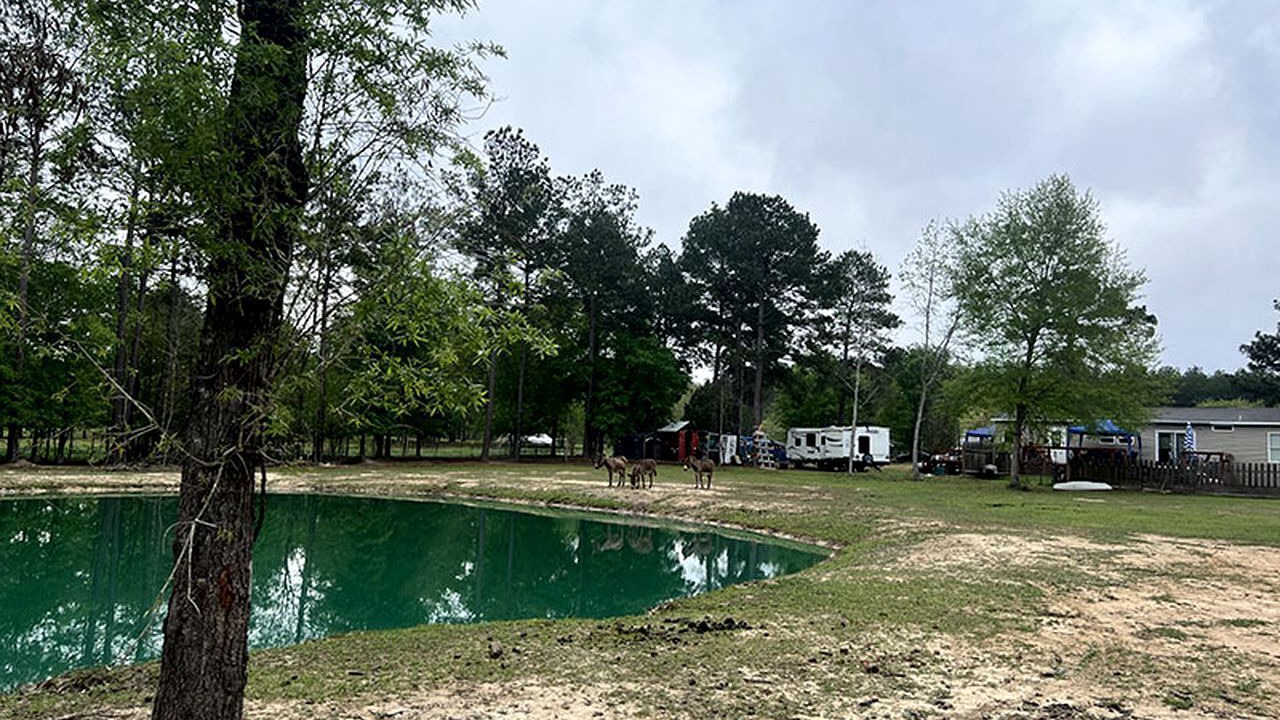 Photo of Outdoor in Conroe