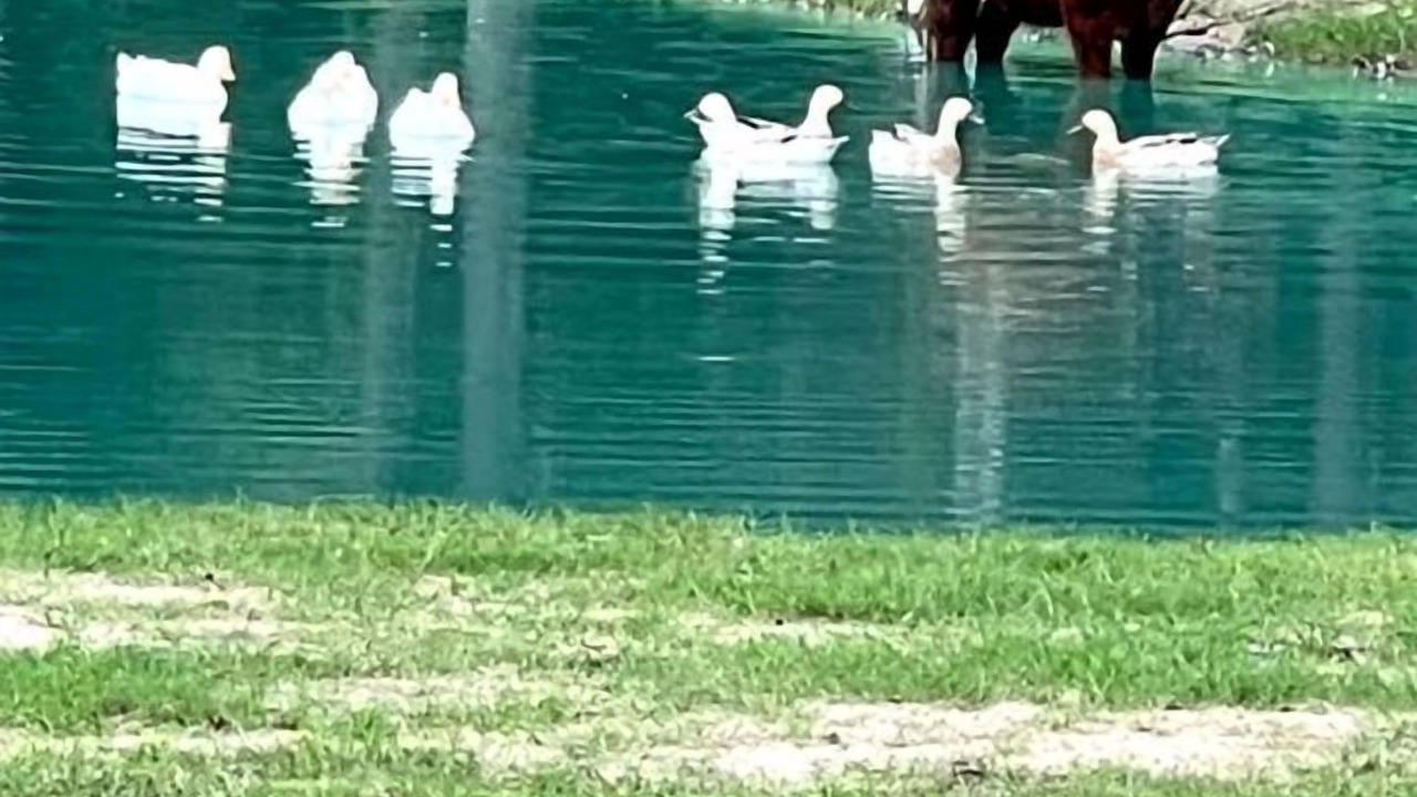 Photo of Others in Conroe