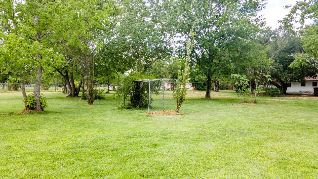 Photo of Outdoor in Alvin