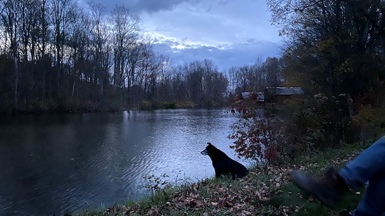Photo of Others in South Hartford