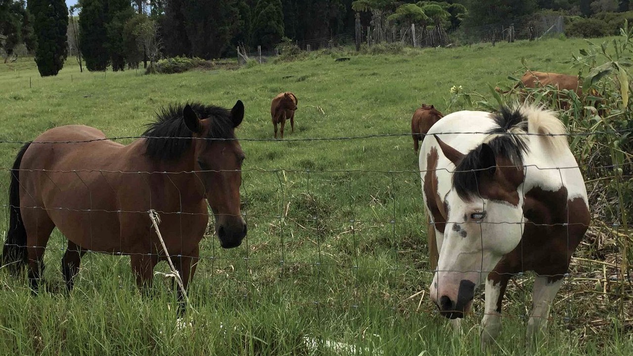 Photo of Others in Glenwood