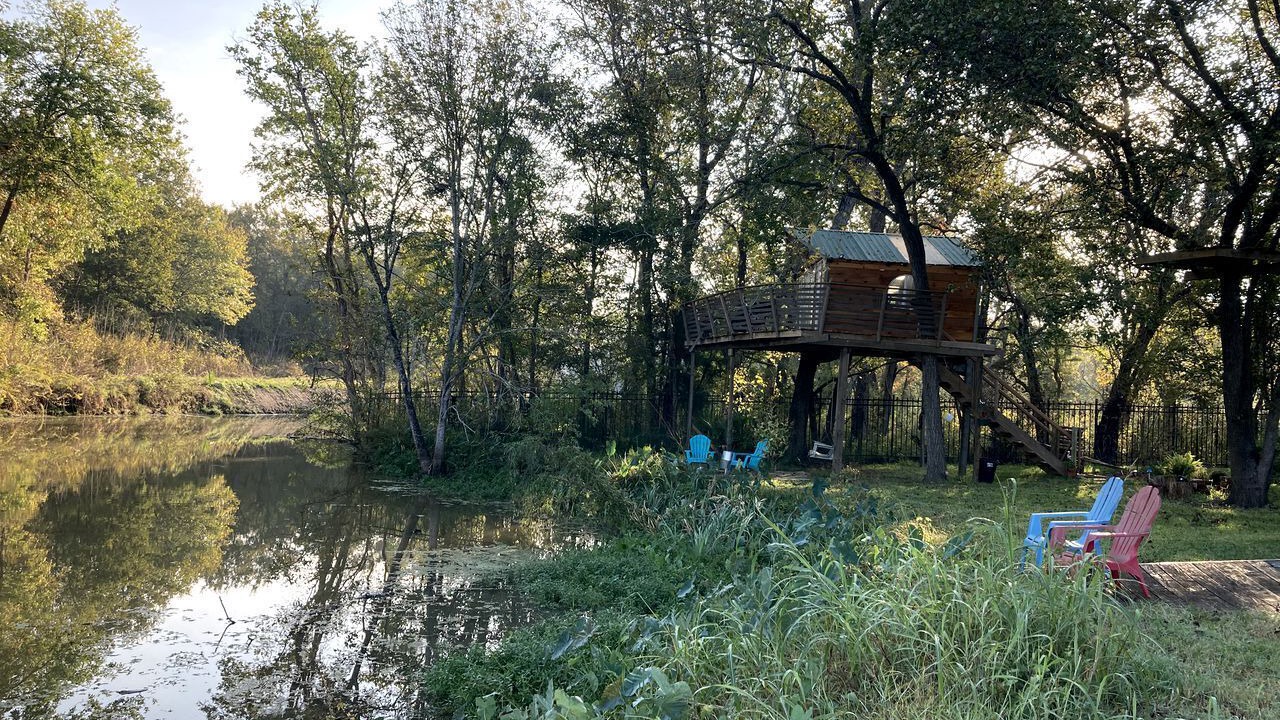 Photo of Outdoor in Willis