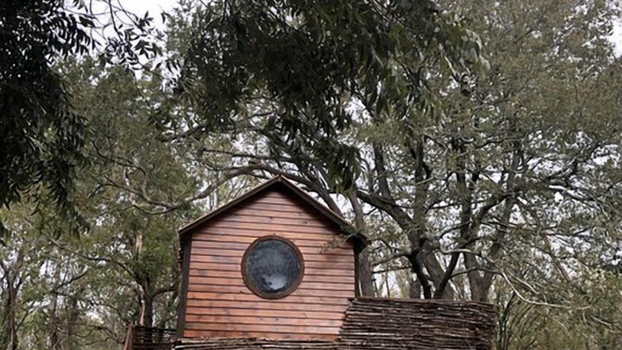 Photo of Outdoor in Willis