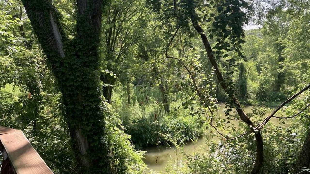Photo of Outdoor in Willis