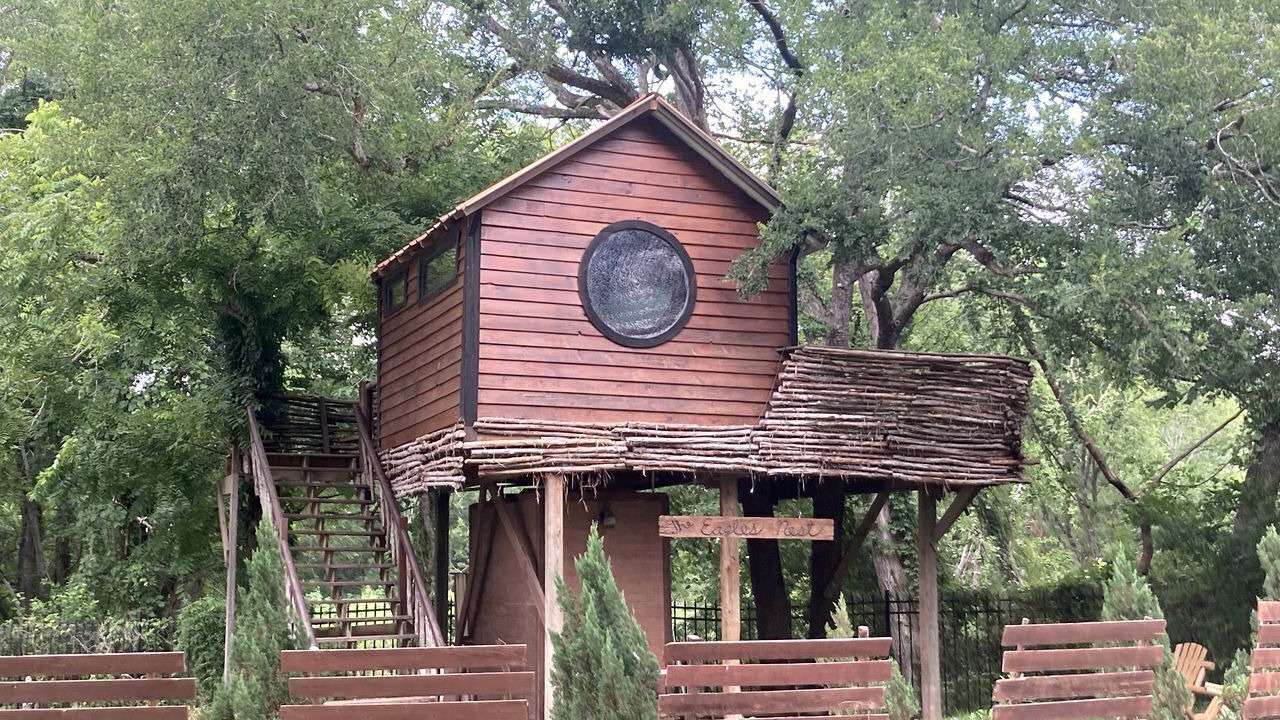 Photo of Outdoor in Willis