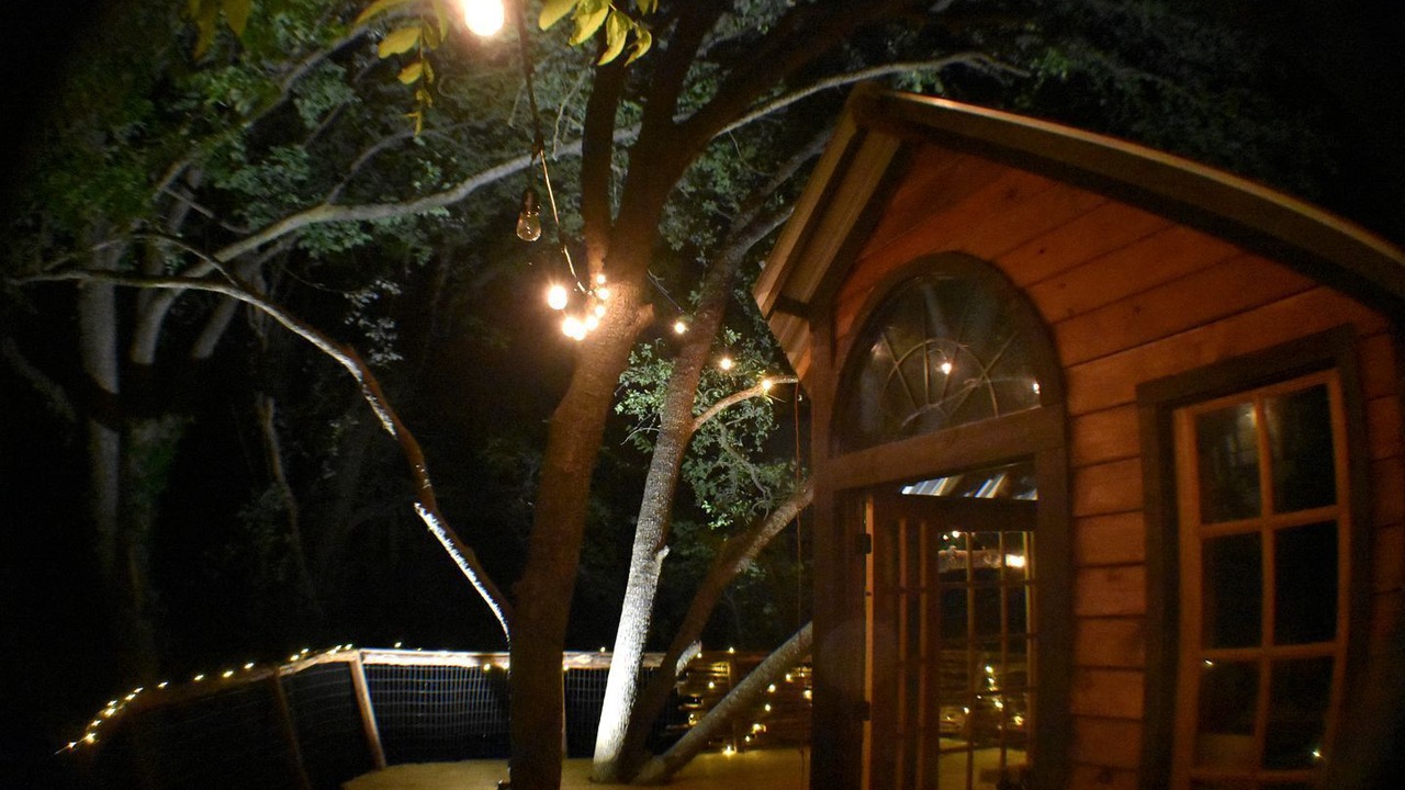 Photo of Outdoor in Willis