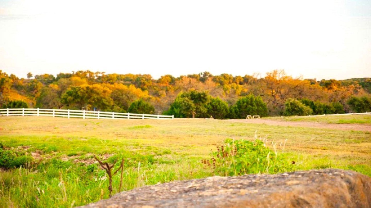 Photo of Others in Dripping Springs