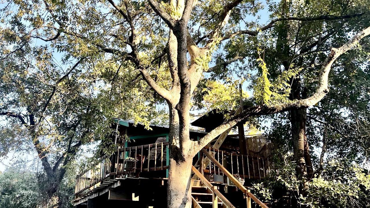 Photo of Outdoor in Willis
