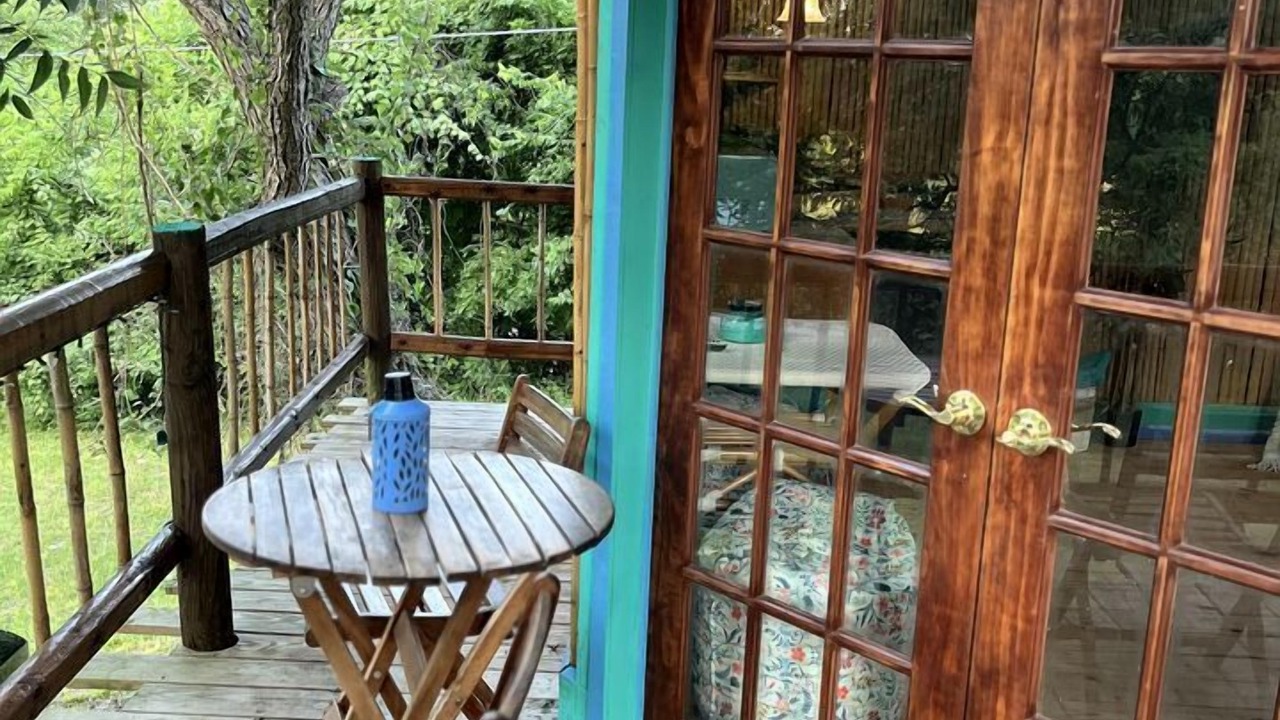 Photo of Outdoor in Willis