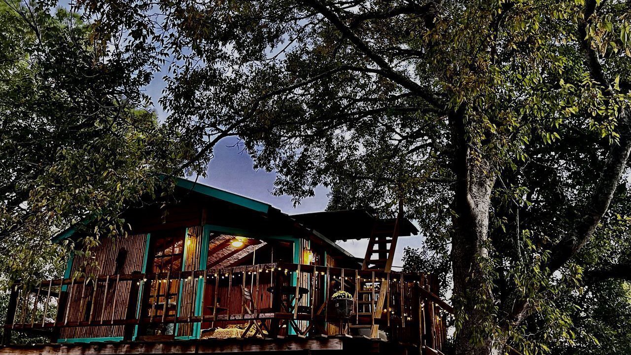 Photo of Outdoor in Willis