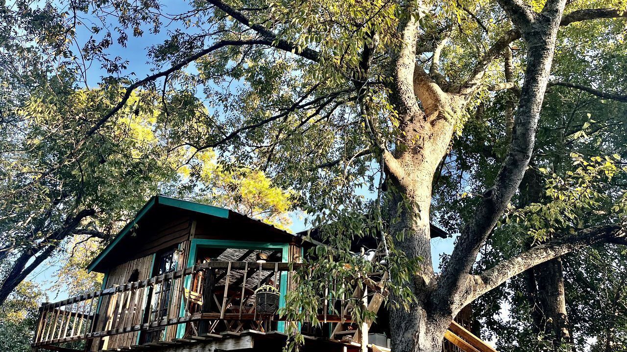 Photo of Outdoor in Willis