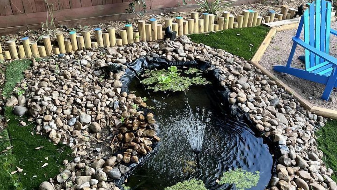 Photo of Outdoor in Willis