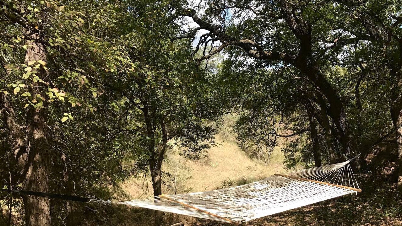 Photo of Outdoor in Mason