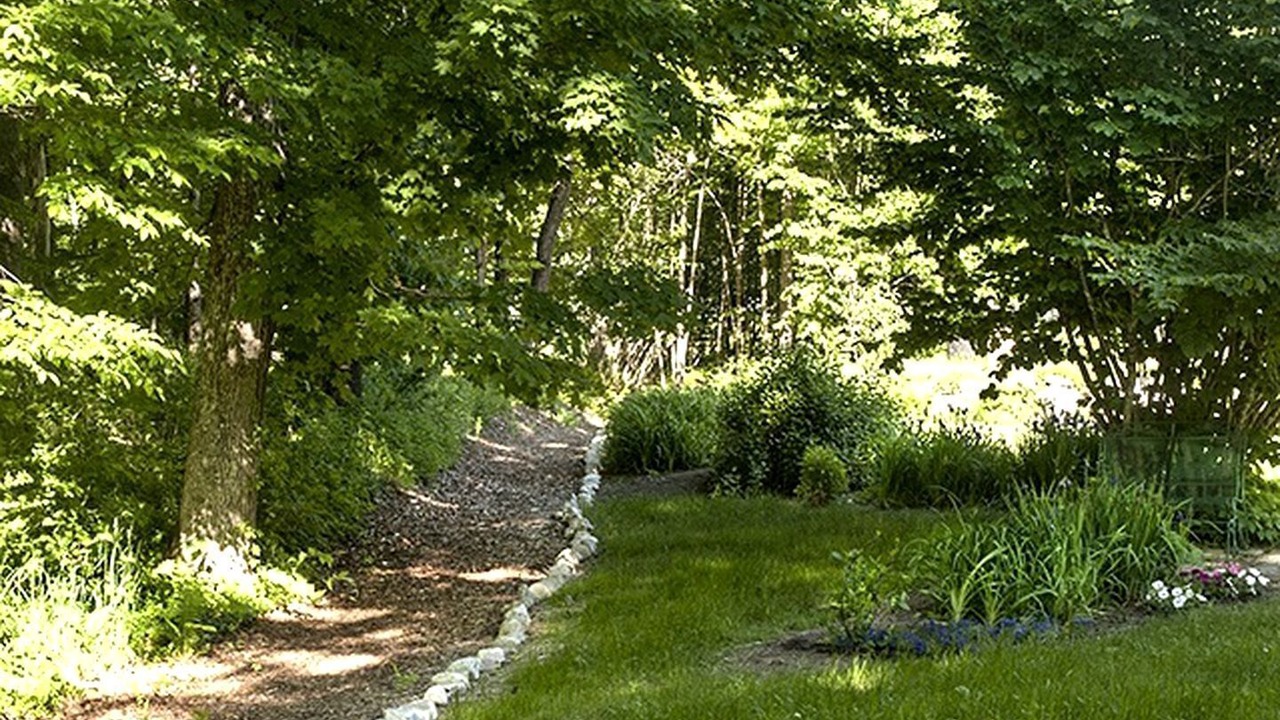 Photo of Outdoor in Williamsville