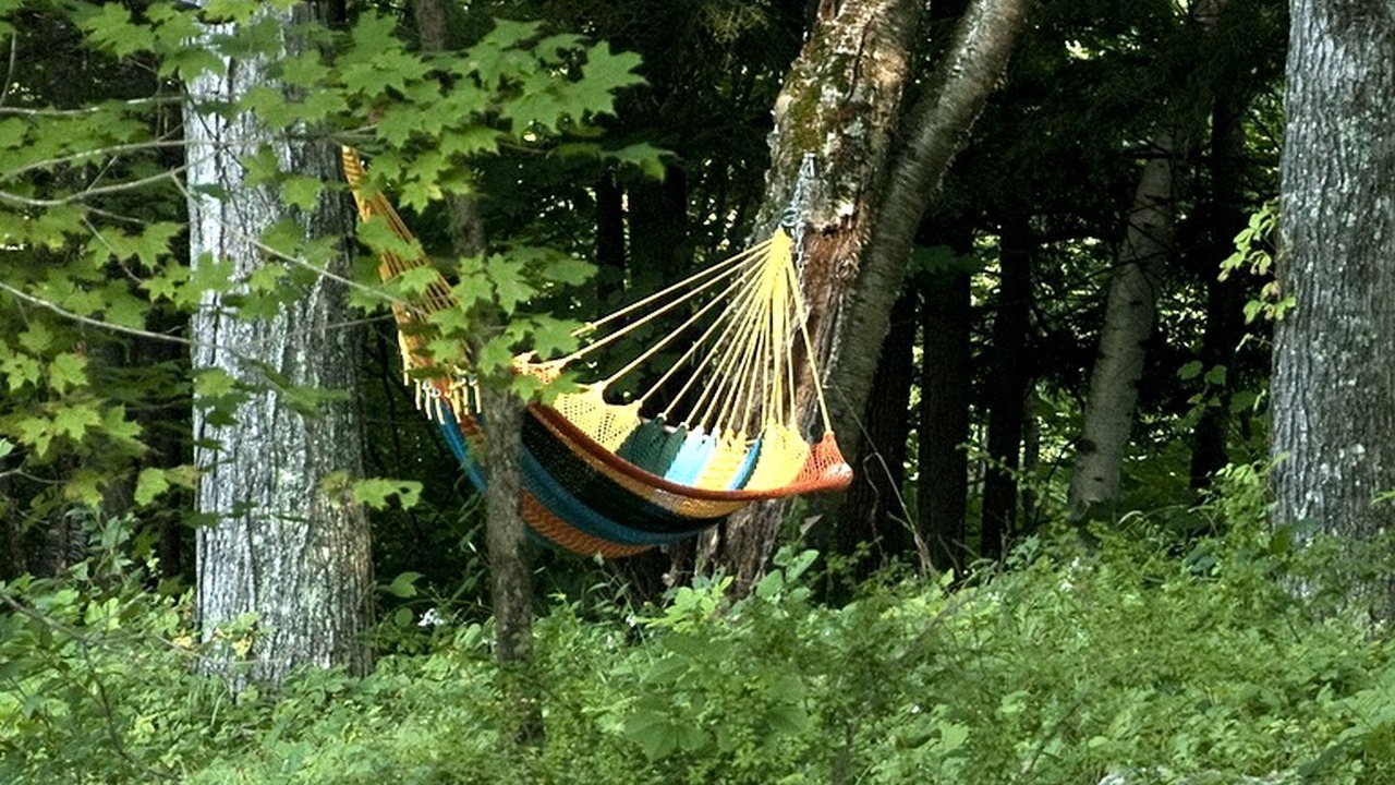 Photo of Others in Williamsville